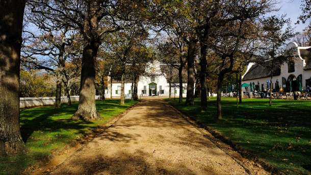 Groot Constantia Wine Estate Tour