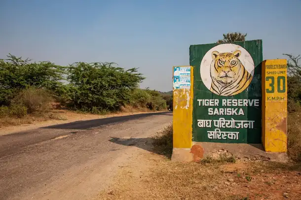 Adz7nd5np3pqd5ykp32mrnz8rziw b0go9xsai2q722twy0dvsdvfaaxj downpic.cc image213072549