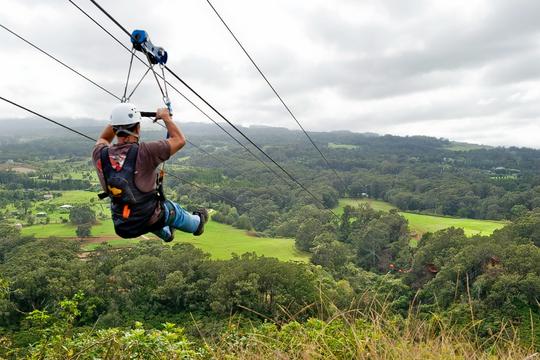 Day Trip to Yelagiri from Chennai Image