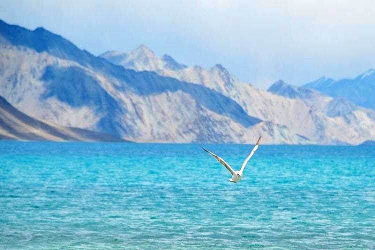 Manali to Leh Jeep Safari Image