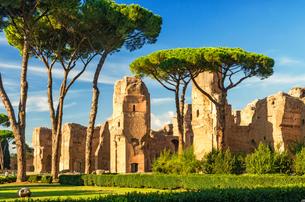 Baths of Caracalla Tickets, Rome
