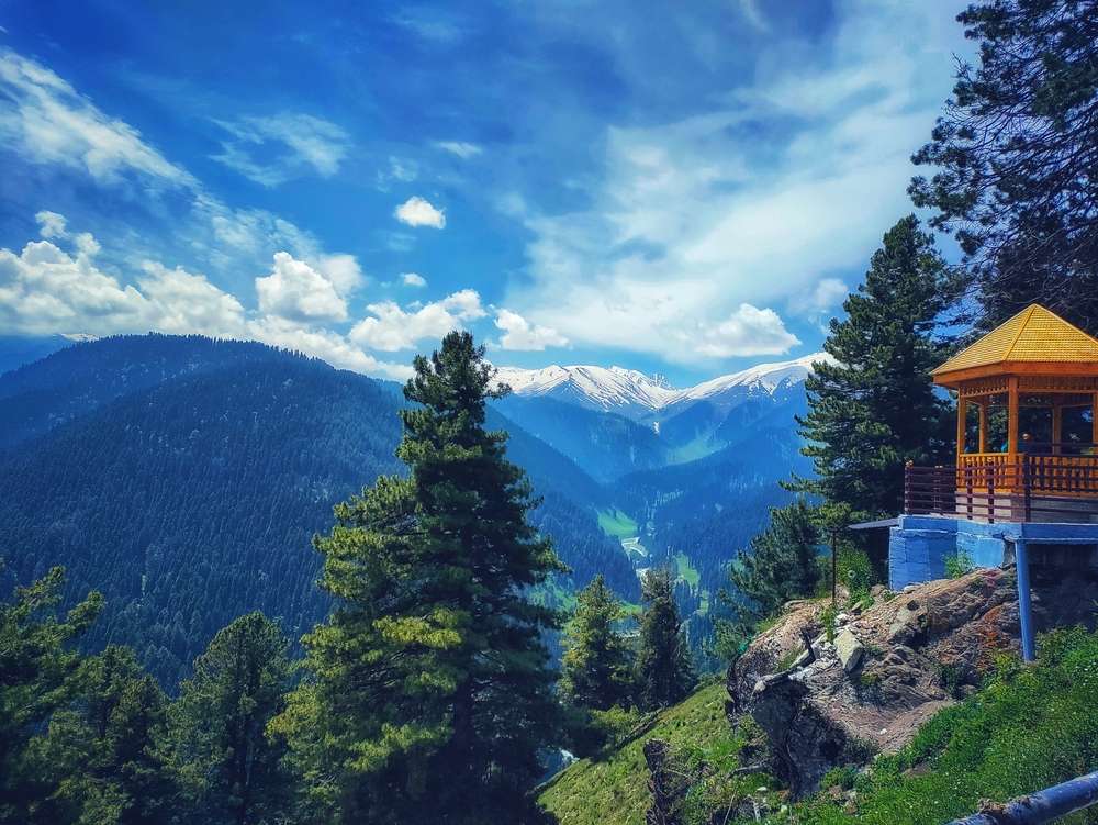 Best of Kashmir | Free Excursion to Yusmarg