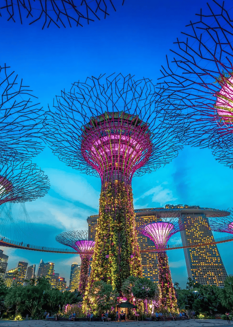 Gardens by the Bay, Singapore: How To Reach, Best Time & Tips