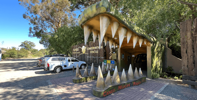 Cango Wildlife Ranch