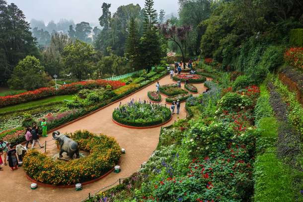 Ahamxa3ofh181lhbryuuzv1qjl08 beautiful%20botanical%20garden%20in%20ooty min