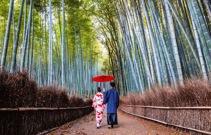 Couple at bamboo forest in Kyoto
