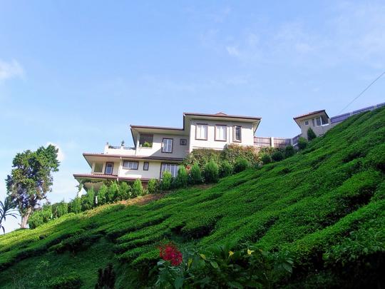 Tea Plantation Walk In Chikamagalur Image