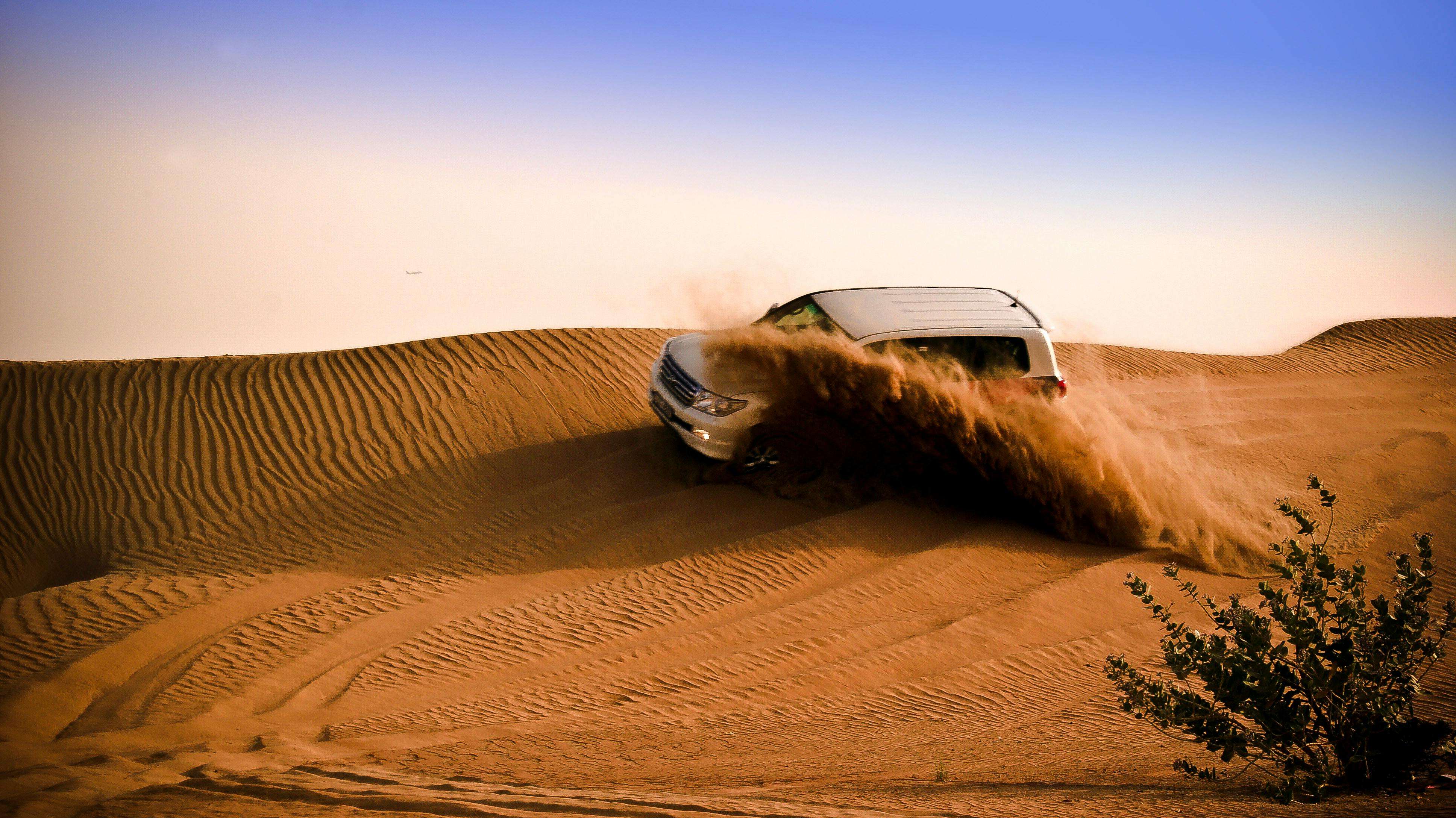 Doha Desert Safari, Camel Ride, Sandboarding and Inland Sea Tour, Qatar