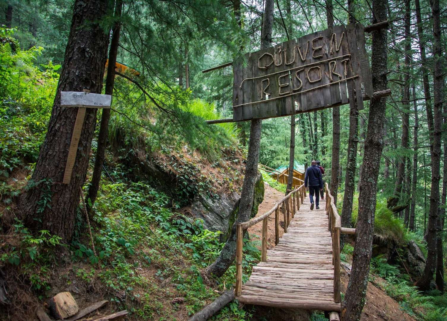 An Adventurous Tree House Near Shimla