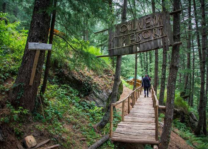An Adventurous Tree House Near Shimla