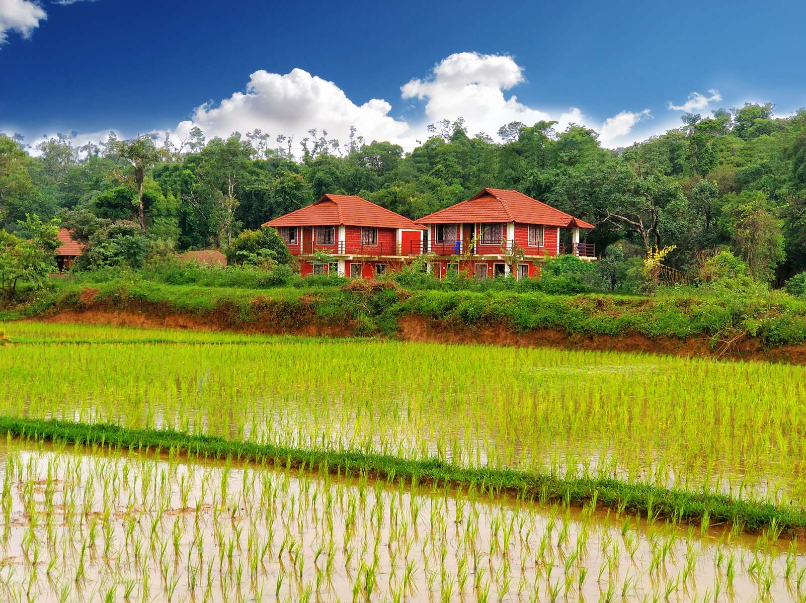 Stream Edge Homestay In Sakleshpur Image