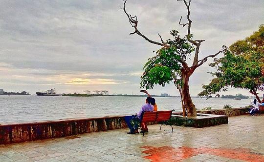 Munnar To Ernakulam Sightseeing Tour Image