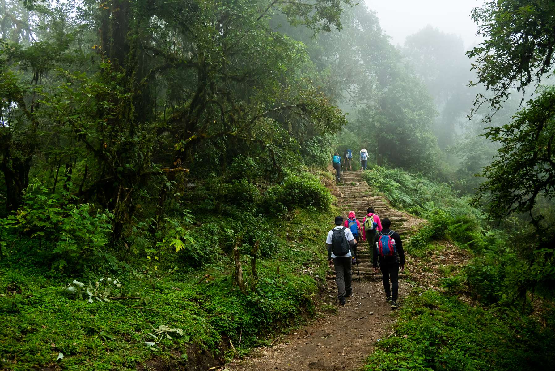 Makalidurga Trek Image