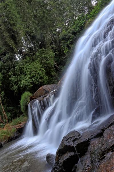 Coonoor Sightseeing Tour Image