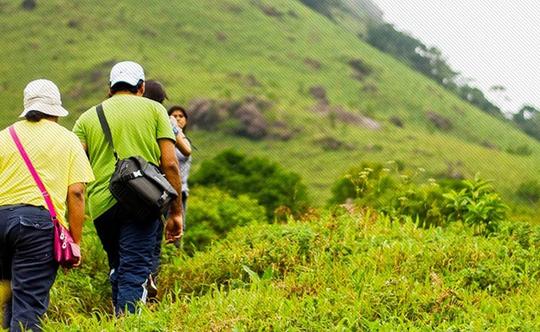 Glenmorgan Trek Image