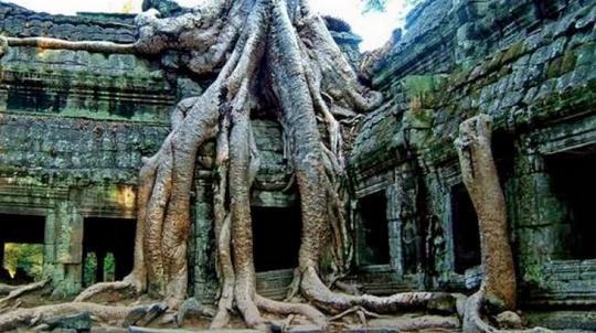 Cambodia Temple Tour Package Image
