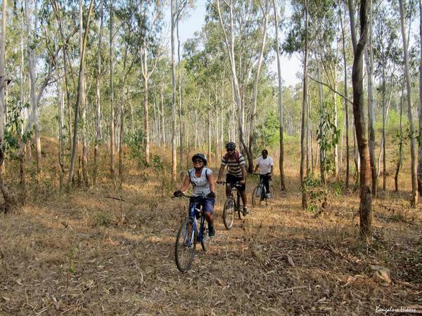 Turahalli Forest