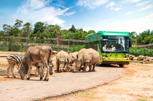 Vinpearl Safari Phu Quoc Tickets Image