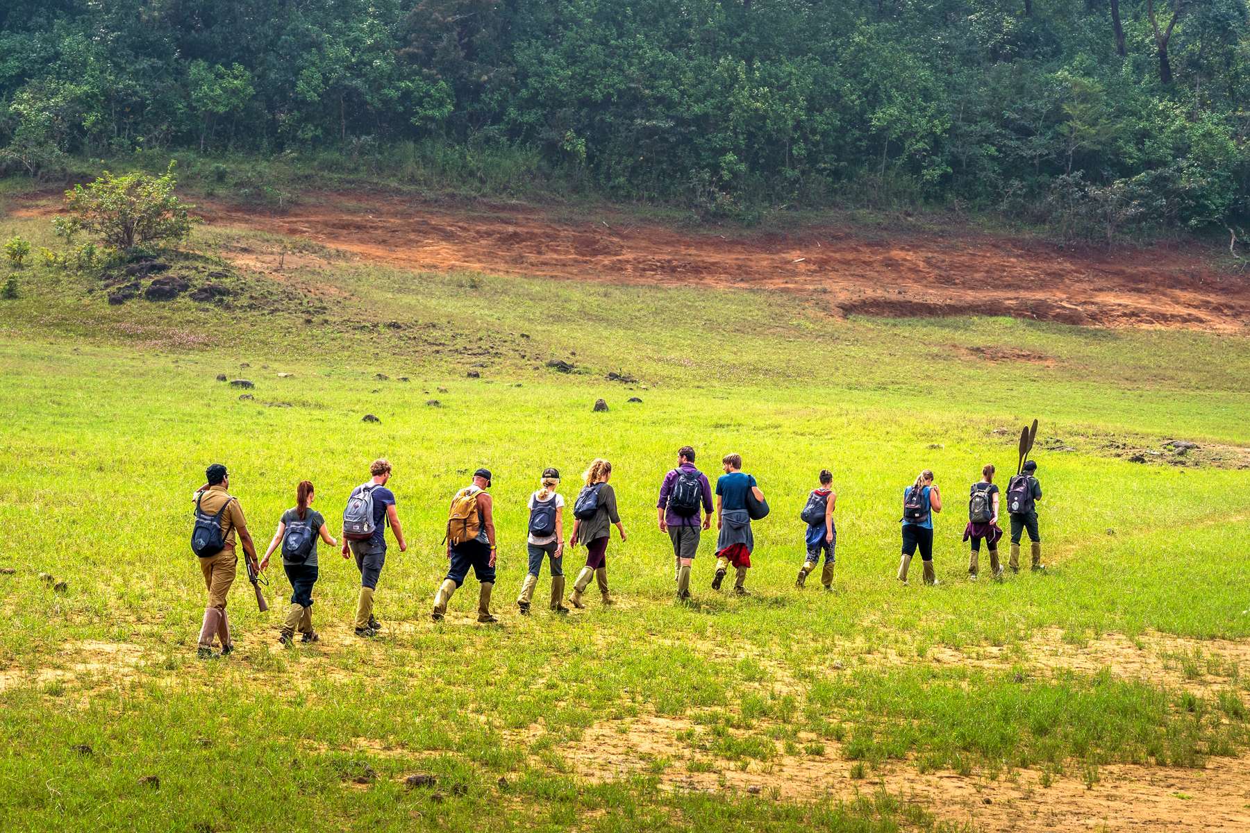 Nature Walk In Thekkady Image