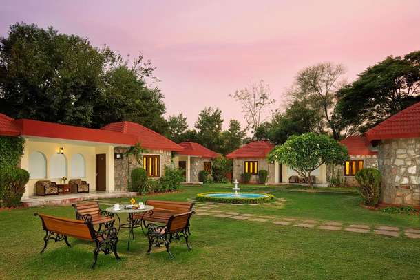 Awkwpxpqcww87mle1oewug0555m8 1590659102 1