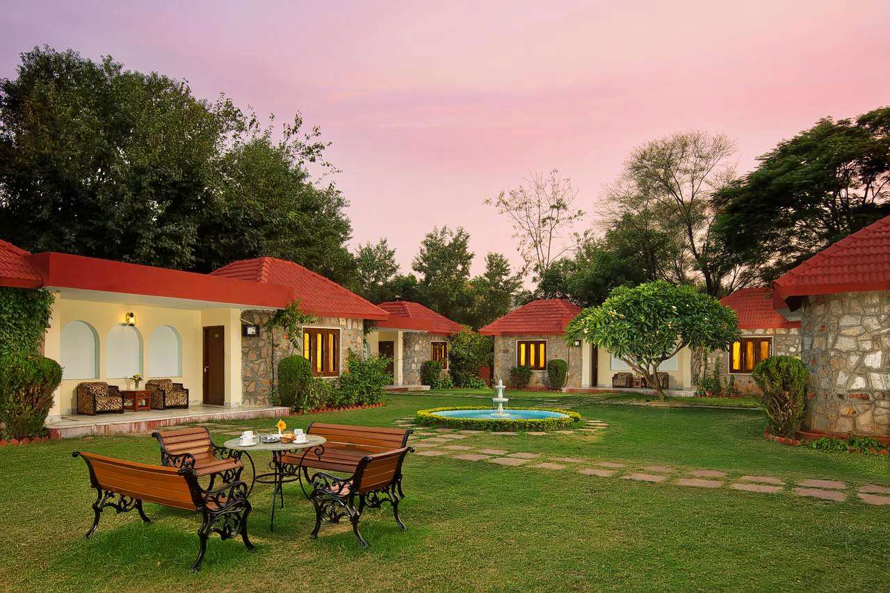 Sterling Sariska Image