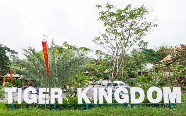 Tiger Kingdom Chiang Mai Tickets