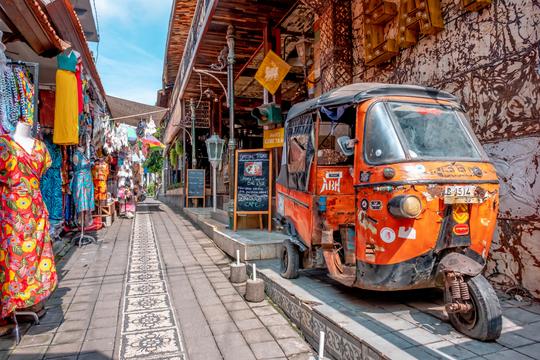 Traditional Handicraft Tour in Ubud Image