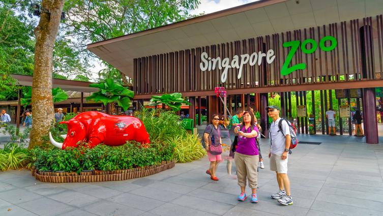 Singapore Zoo