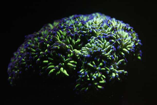 Azejkafzrvba97mdbq599vbtgwm4 218254354 10159554214724516 3518224566020326801 n