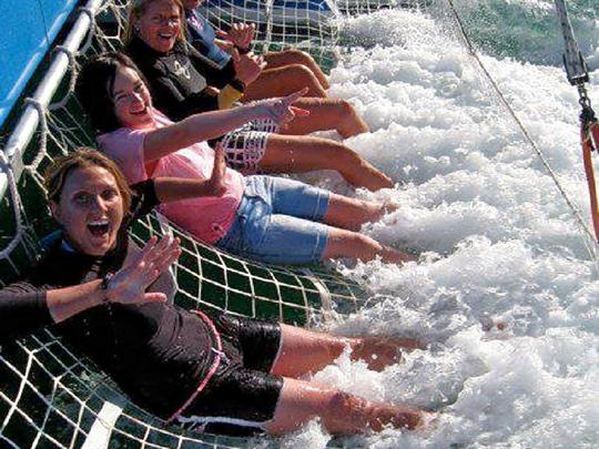 Tour From Perth To Monkey Mia Image