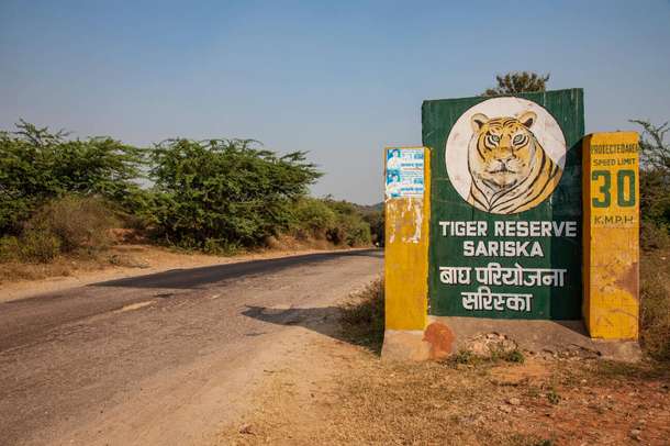 B0go9xsai2q722twy0dvsdvfaaxj downpic.cc image213072549