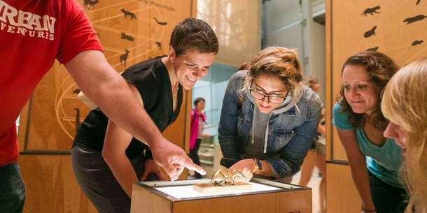 Smithsonian National Museum of Natural History Tickets