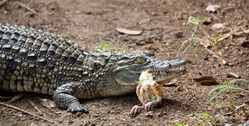 B2m4vdsjz8h9gud14dqvgn5oe86h 5225572616 d5b17a2880 o