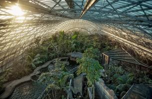 Parc Zoologique de Paris Tickets, France