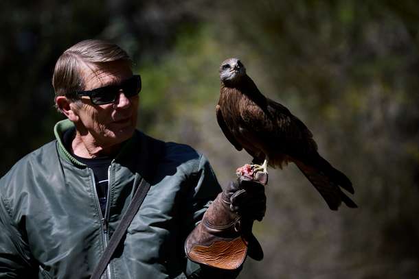 Visit the Eagles Heritage Wildlife Centre to come across various magnificent birds