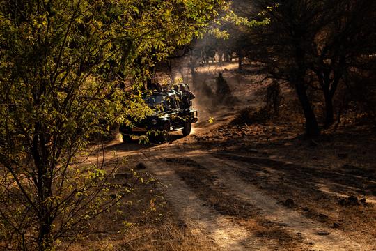 Kanha And Bandhavgarh National Park Tour From Jabalpur Image