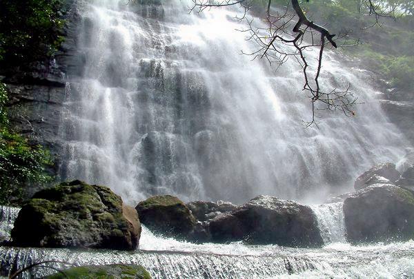 Kuthumkal Waterfalls