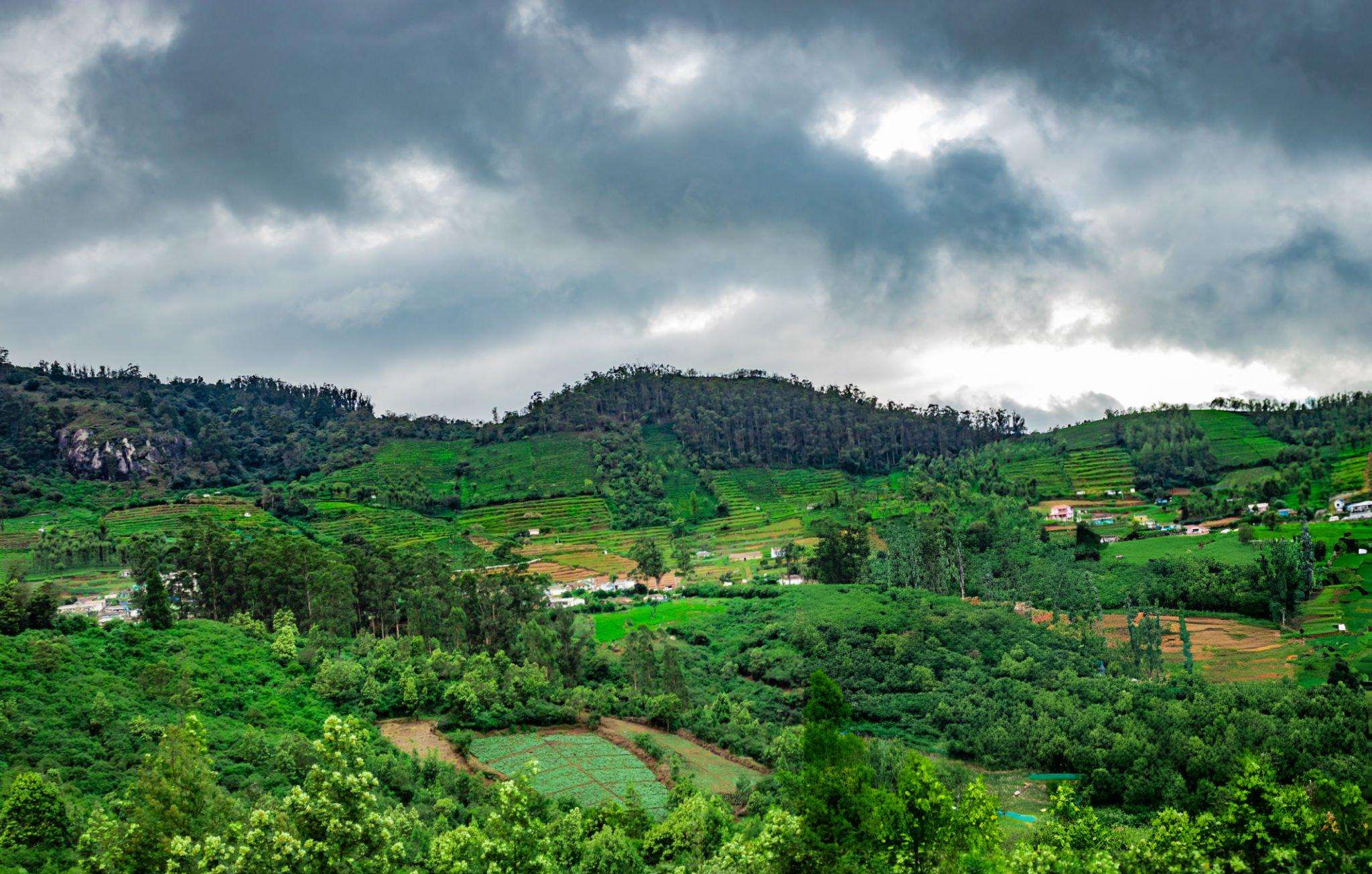 Aerial view of Ooty tea plantations