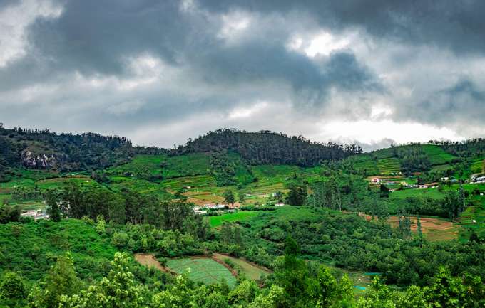 Aerial view of Ooty tea plantations