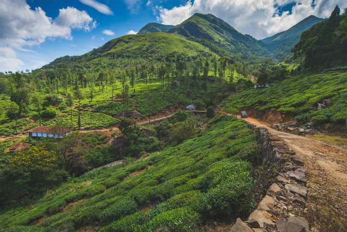 Coorg and Wayanad Package from Bangalore