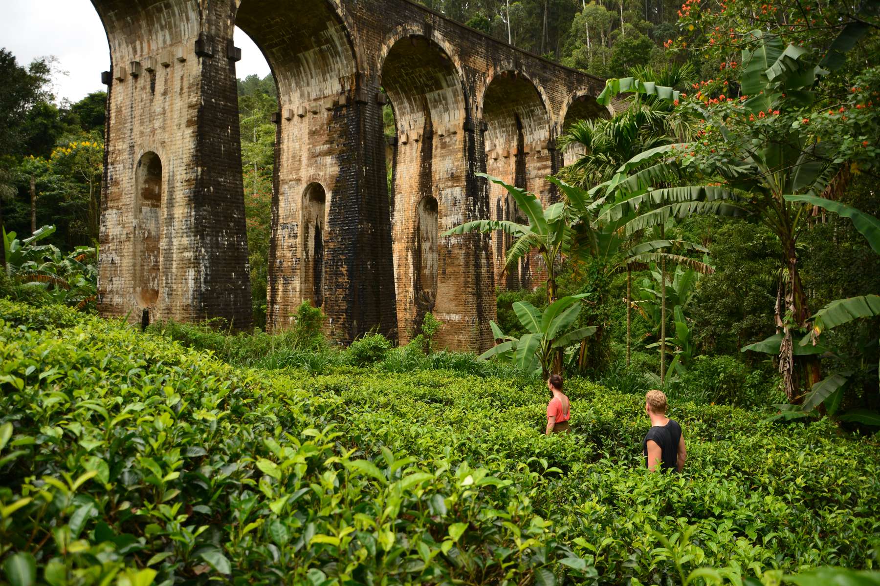 Ravana Falls Ella Half Day Tour Image