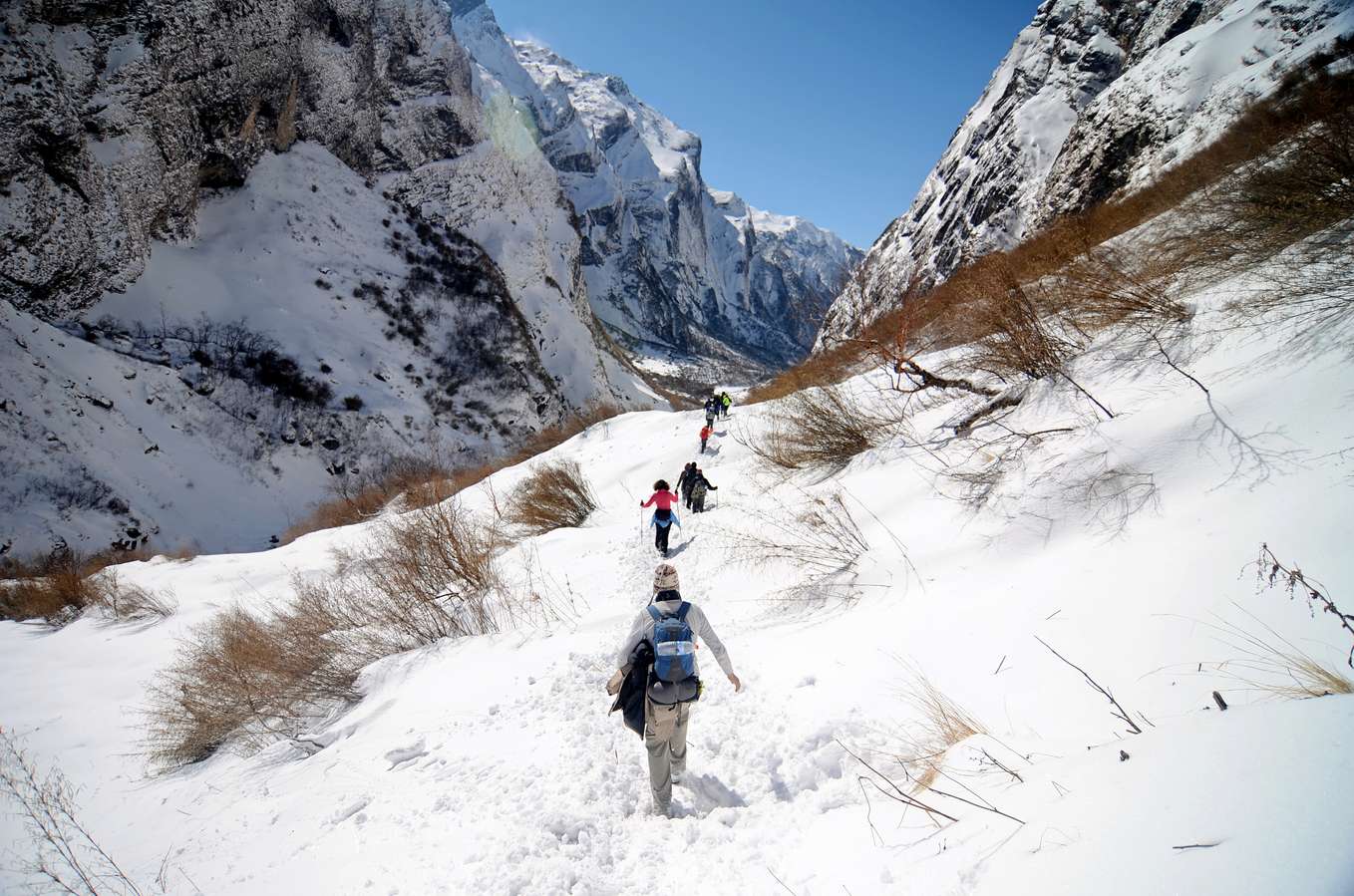 Bbft2fvu72v7ghrv1fekzm4qjb86 1