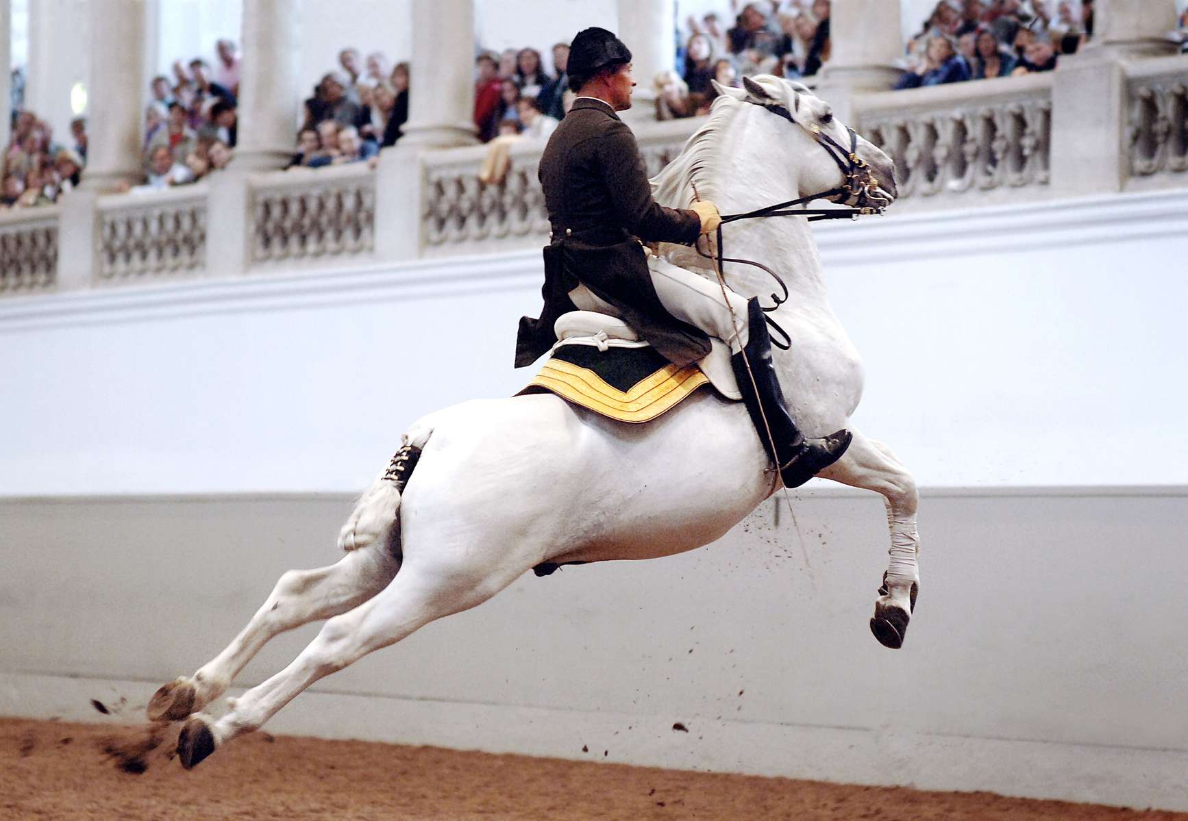 Spanish Riding School Vienna Tickets Image