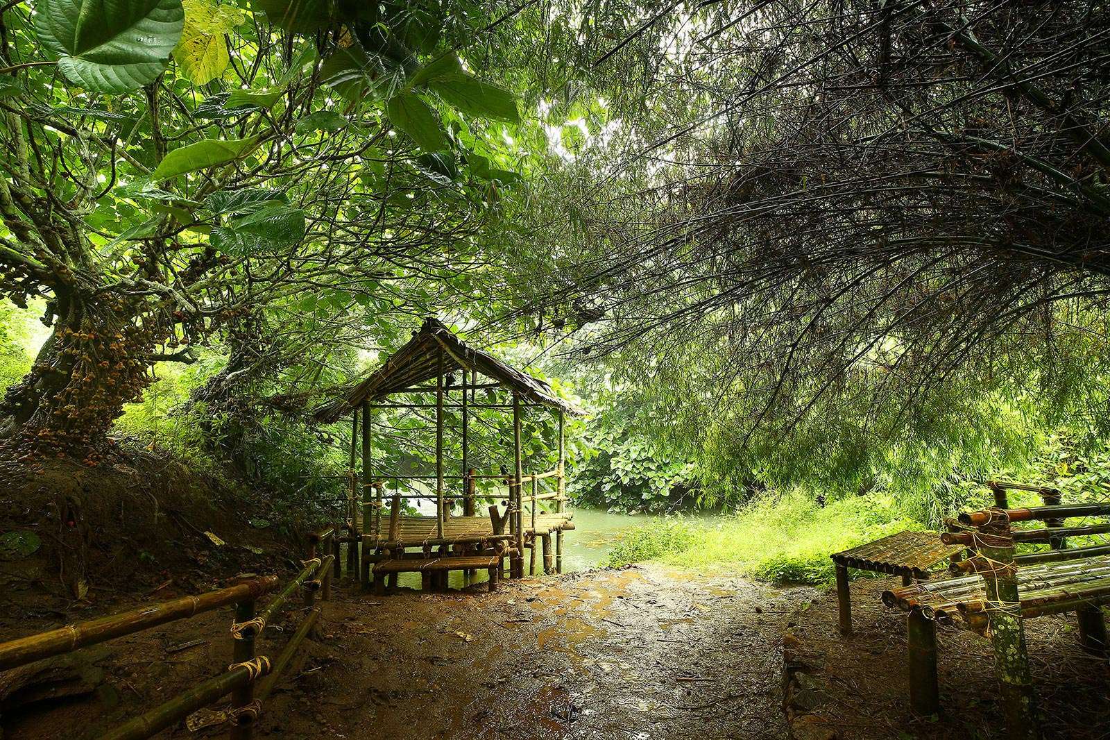 Rivulet Resort Image