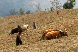 Bdmflo58ftshmwfmiczcii5jev1b 16935405362 1bfe966b7d b