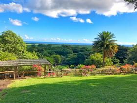 Casela World Of Adventures