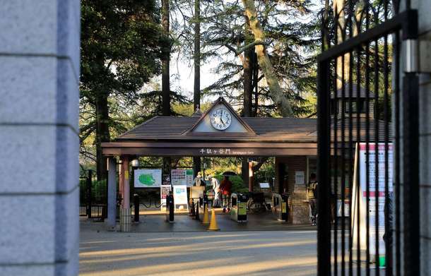 Shinjuku Gyoen National Garden | Skip-the-line Admission Tickets