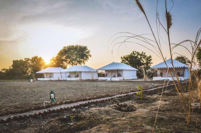 Sena Safari Camp Jawai