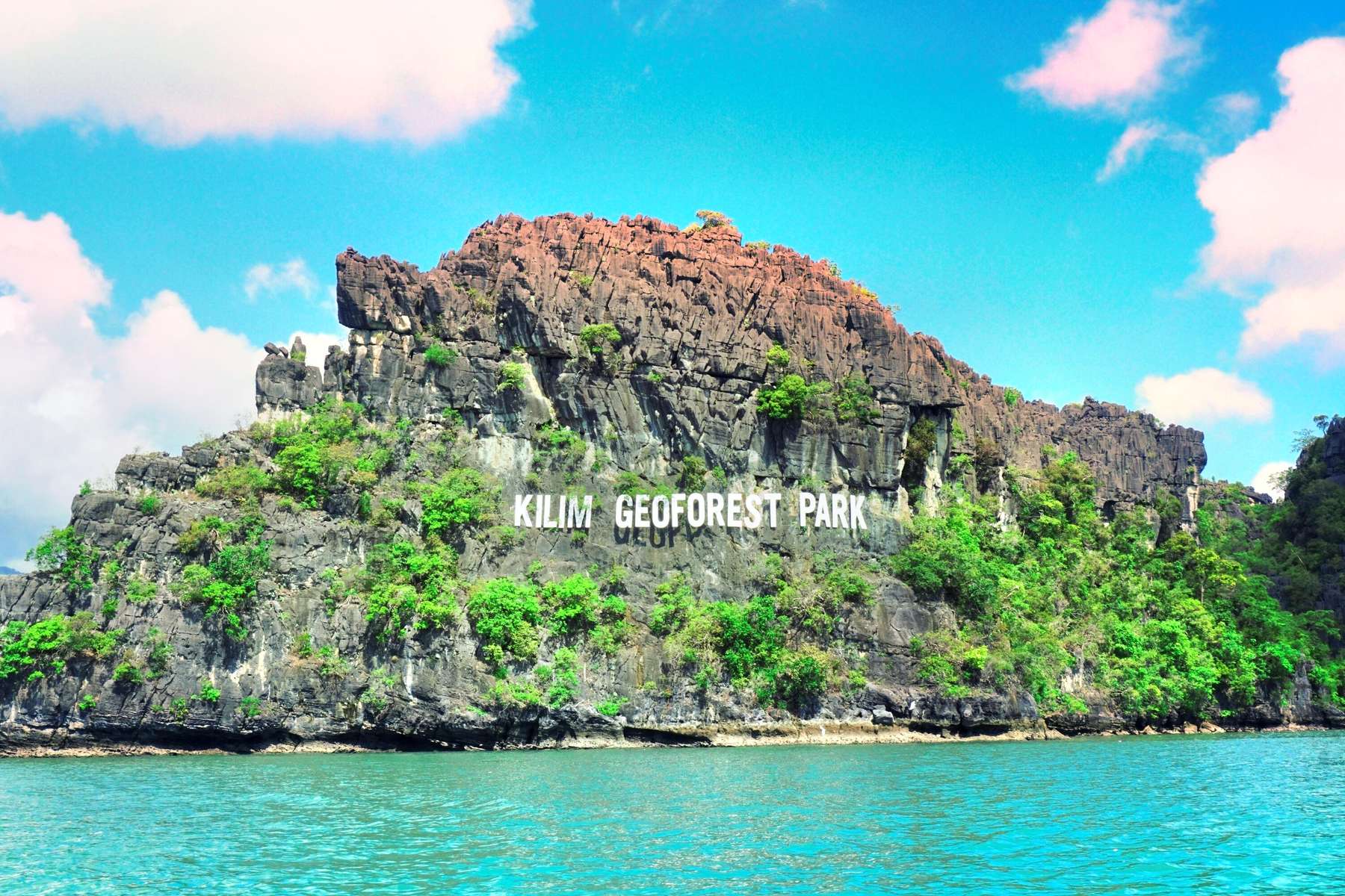 Mangrove Kayaking Tour in Langkawi Image