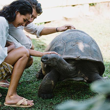 Raffles Seychelles Image